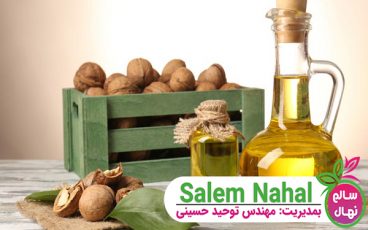 همه چیز درباره خواص روغن گردو