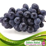 خرید-نهال-انگور-بلک-سیدلس-🍇