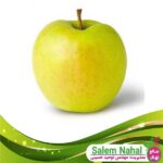 قیمت-و-خرید-نهال-سیب-پایه-کوتاه-پایه-مالینگ
