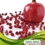 قیمت-و-خرید-نهال-انار-بدون-خار-Pomegranate-seedlings-without-thorns