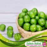 قیمت-و-خرید-نهال-گوجه-سبز-آذرشهر-Azarshahr-green-tomato-seedling