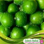قیمت-و-خرید-نهال-گوجه-سبز-سعدی-Saadi-green-tomato-seedlings