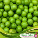 قیمت-و-خرید-نهال-گوجه-سبز-سلطانی-Sultani-green-tomato-seedlings