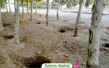 خصوصیات کود مورد استفاده در چالکود