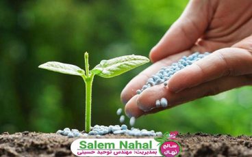 بهترین انواع کود شیمیایی برای پسته