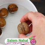 روش کاشت گردو در گلدان (How to plant walnuts in pots)