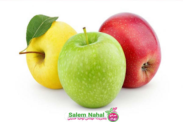مهم ترین خواص سیب (The most important properties of apples)