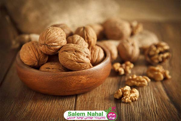 خواص گردو برای کاهش چربی‌ خون (The properties of walnuts to reduce blood fat)