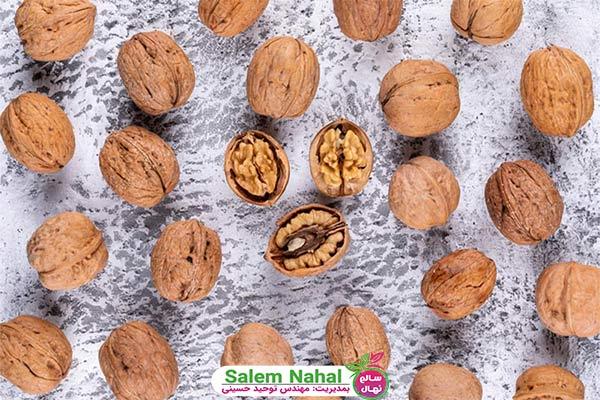 فرق گردوی ایرانی و خارجی (The difference between Iranian and foreign walnuts)
