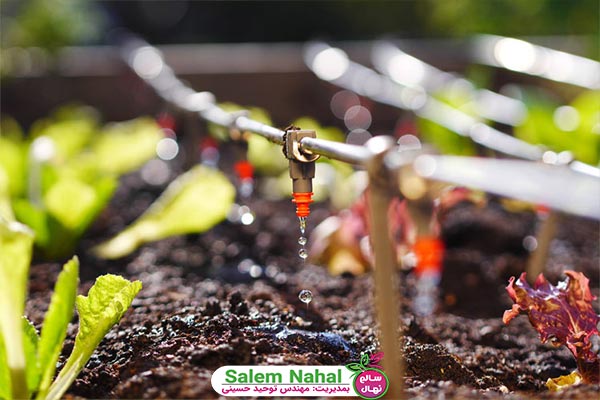مزایای اصلی آبیاری قطره‌ای باغ (Advantages of garden drip irrigation)
