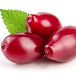 نهال زغال اخته